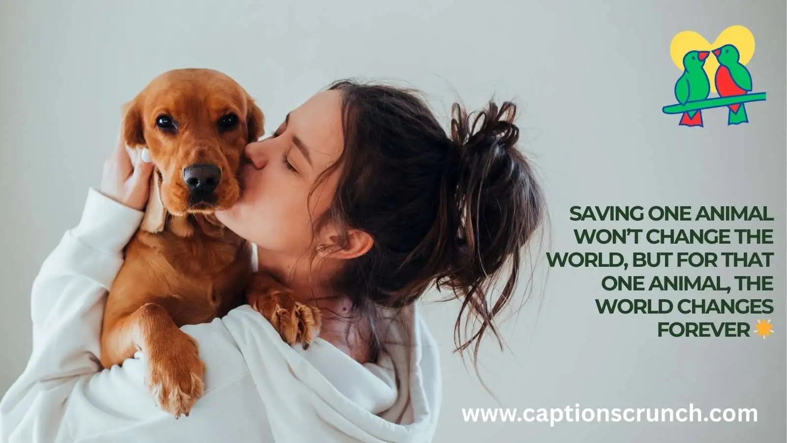 Animal Rescue