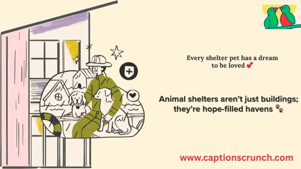 Animal Shelter Quotes