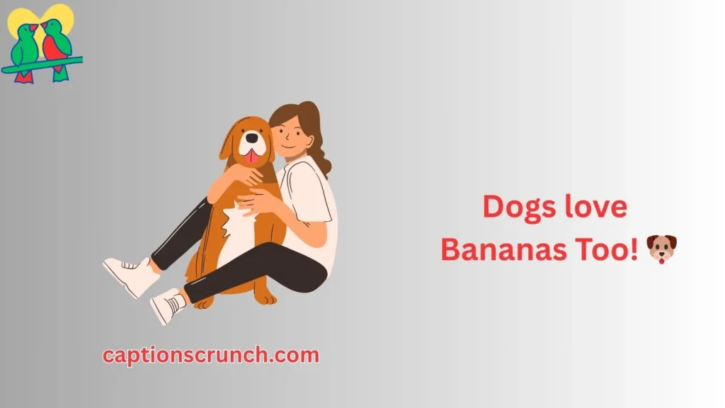 Banana Puns for Pets Animals