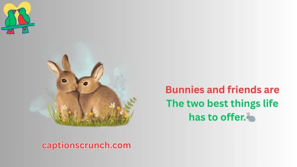 bunny quotes