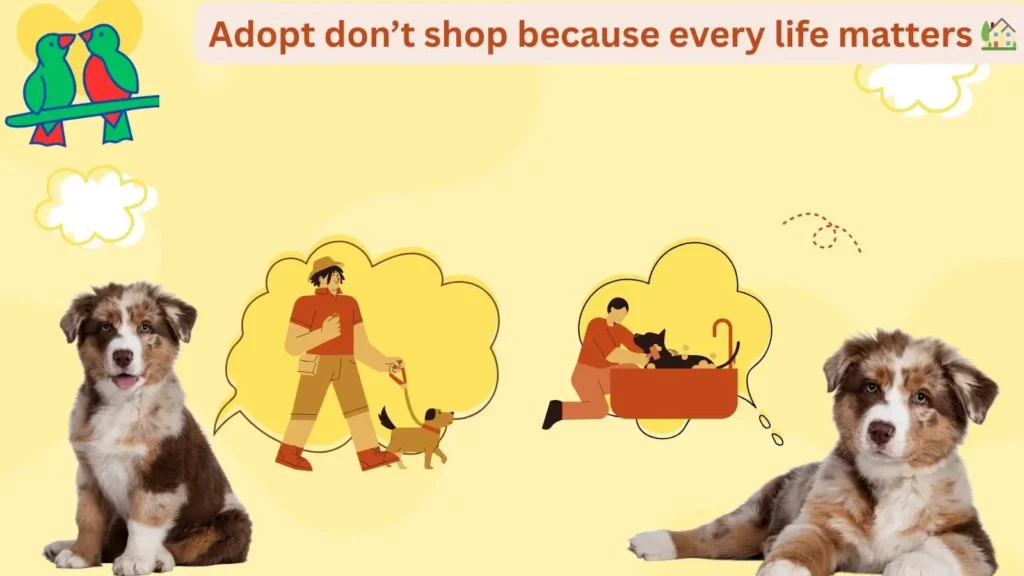 Encouraging People to Adopt