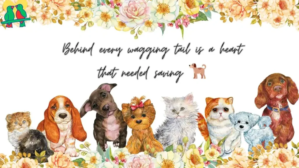 Rescue Dog Quotes