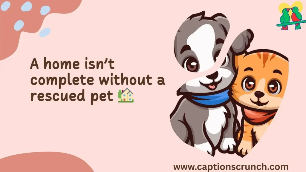 Sweet Rescue Quotes