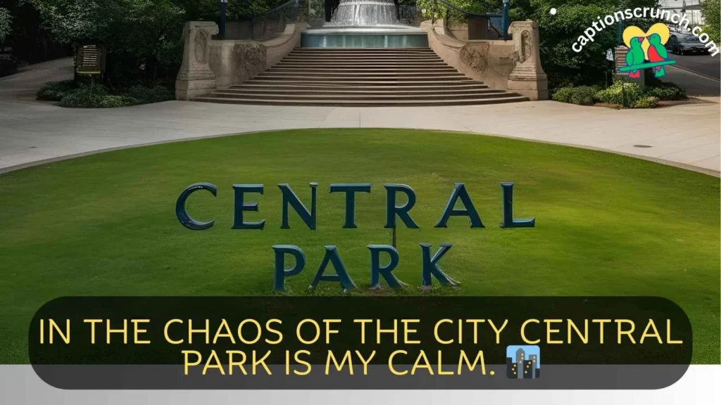 Cool Central Park Quotes