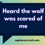 Little Red Riding Hood Captions