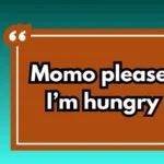 Momo Captions for Instagram