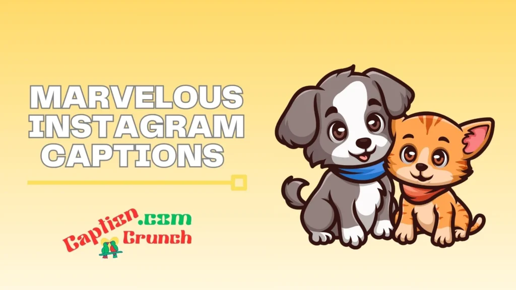 Pet Captions