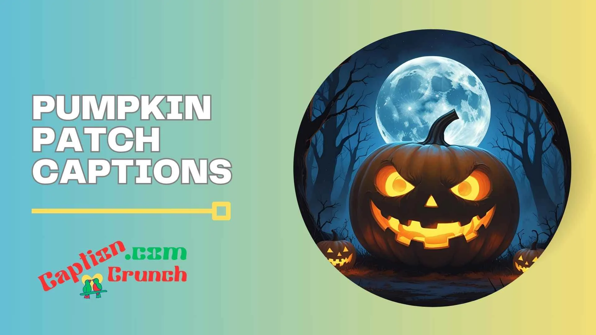 Pumpkin Patch Captions