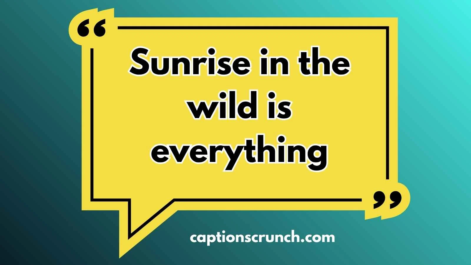 sunrise captions for instagram
