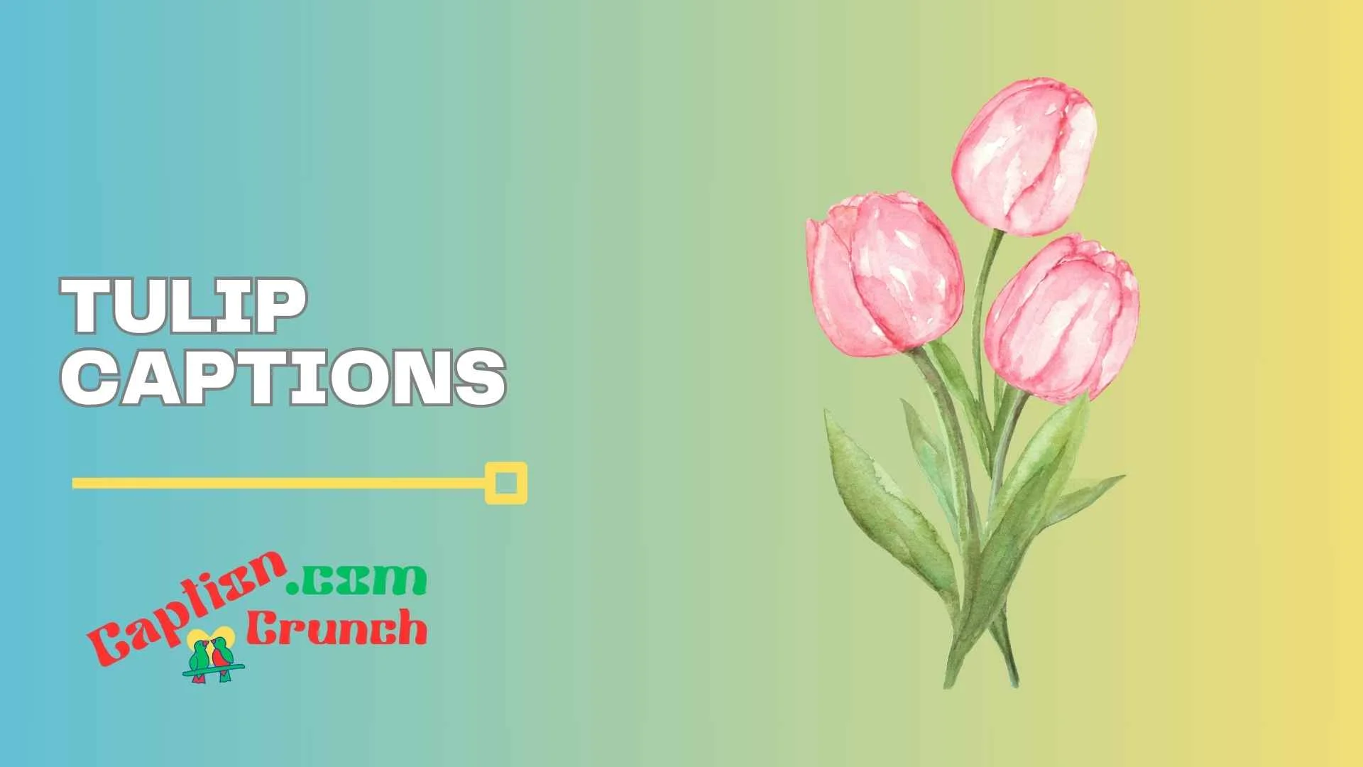 tulip captions for instagram